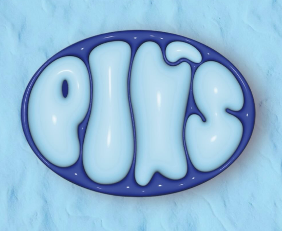 PIN'S